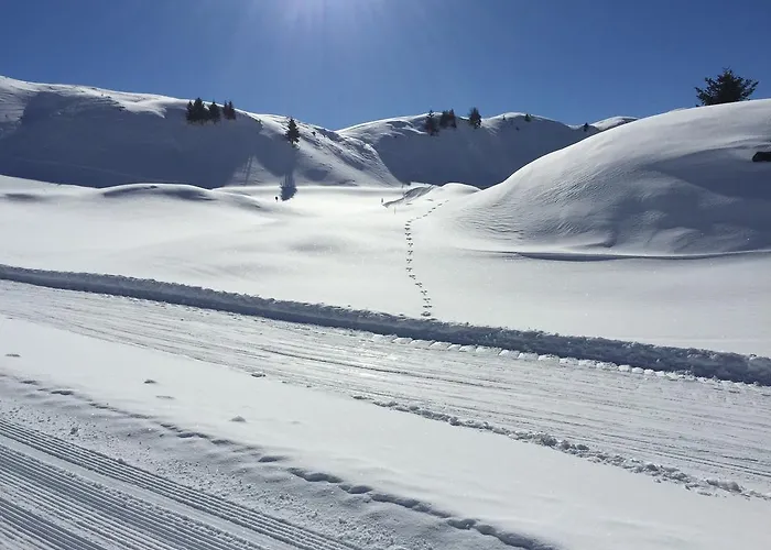 Rent Michael Kitzbühel