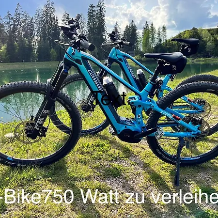 Apartament Rent Michael *