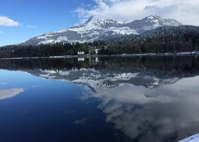 Apartament Rent Michael *